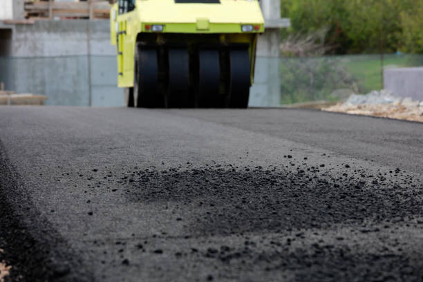 Best Residential Driveway Paver Services  in Vaeboro, NC
