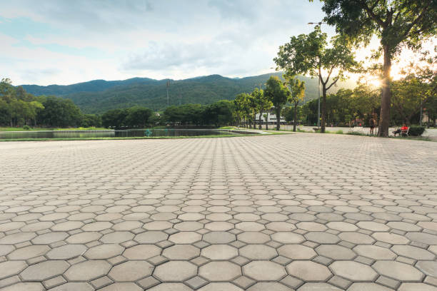 Best Driveway Pavers Near Me  in Vaeboro, NC