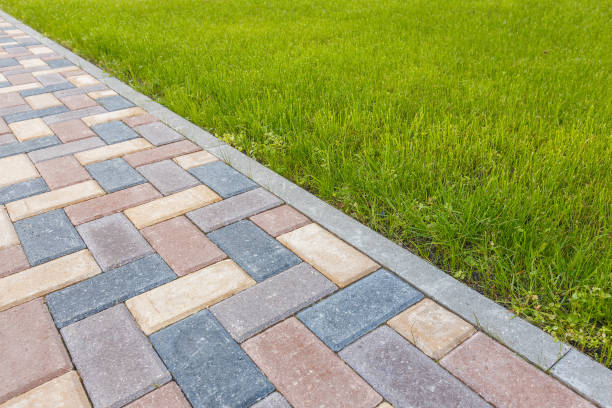 Best Driveway Pavers for Homes  in Vaeboro, NC